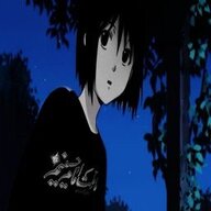put they dog down