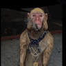 phasedude