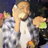 Dreamteamtyy
